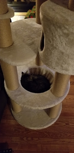 Pet Supply Store «Pet Valu», reviews and photos, 1539 S Pleasant Valley Rd, Winchester, VA 22601, USA