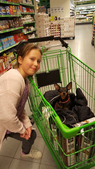 Photos of KIWI Saltr&oslash;d