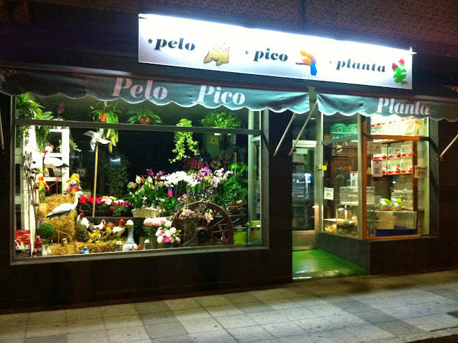 Pelo Pico Planta