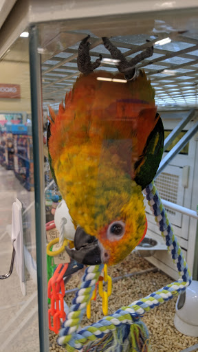 Pet Supply Store «PetSmart», reviews and photos, 6650 N Durango Dr, Las Vegas, NV 89149, USA