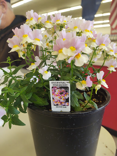 Department Store «Bi-Mart», reviews and photos, 2680 S Santiam Hwy, Lebanon, OR 97355, USA