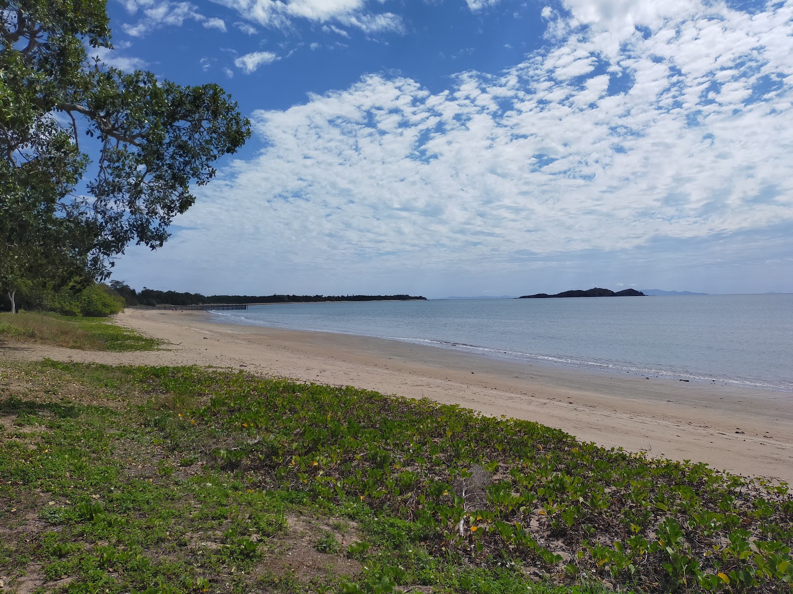 Smalleys Beach'in fotoğrafı uçurumlarla desteklenmiş