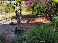 Pyramid Landscape and Maintenance, LLC - Photo 4 - Car repair in Sacramento, CA, Sacramento