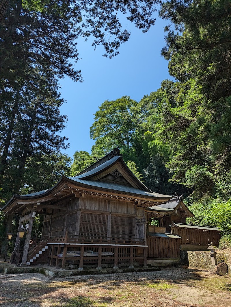 伊王野温泉神社の大杉
