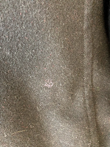 Dry Cleaner «Belleville Square Cleaners», reviews and photos, 10780 Belleville Rd, Belleville, MI 48111, USA