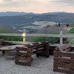 Photo n°1 de l'avis de C. fait le 20/06/2022 à 14:41 sur le  Enoteca Il Quartino di Marchesi Frescobaldi à Pelago