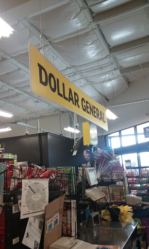 Discount Store «Dollar General», reviews and photos, 102 W Main St, Ada, MN 56510, USA