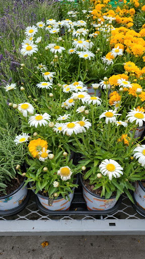 Home Improvement Store «The Home Depot», reviews and photos, 95 Highland Ave, Seekonk, MA 02771, USA