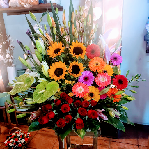 Florería Azalea Cuernavaca – Jiutepec