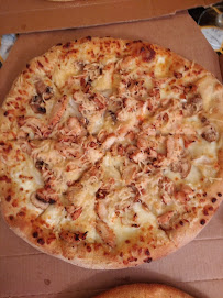 Plats et boissons du Pizzeria Domino's Pizza Maisons-Alfort - n°13