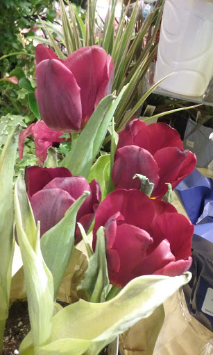 Grocery Store «Giant Food Stores», reviews and photos, 801 S 25th St, Easton, PA 18045, USA