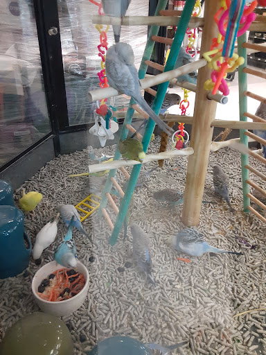 Pet Supply Store «Petco Animal Supplies», reviews and photos, 9078 SE Sunnyside Rd, Clackamas, OR 97015, USA