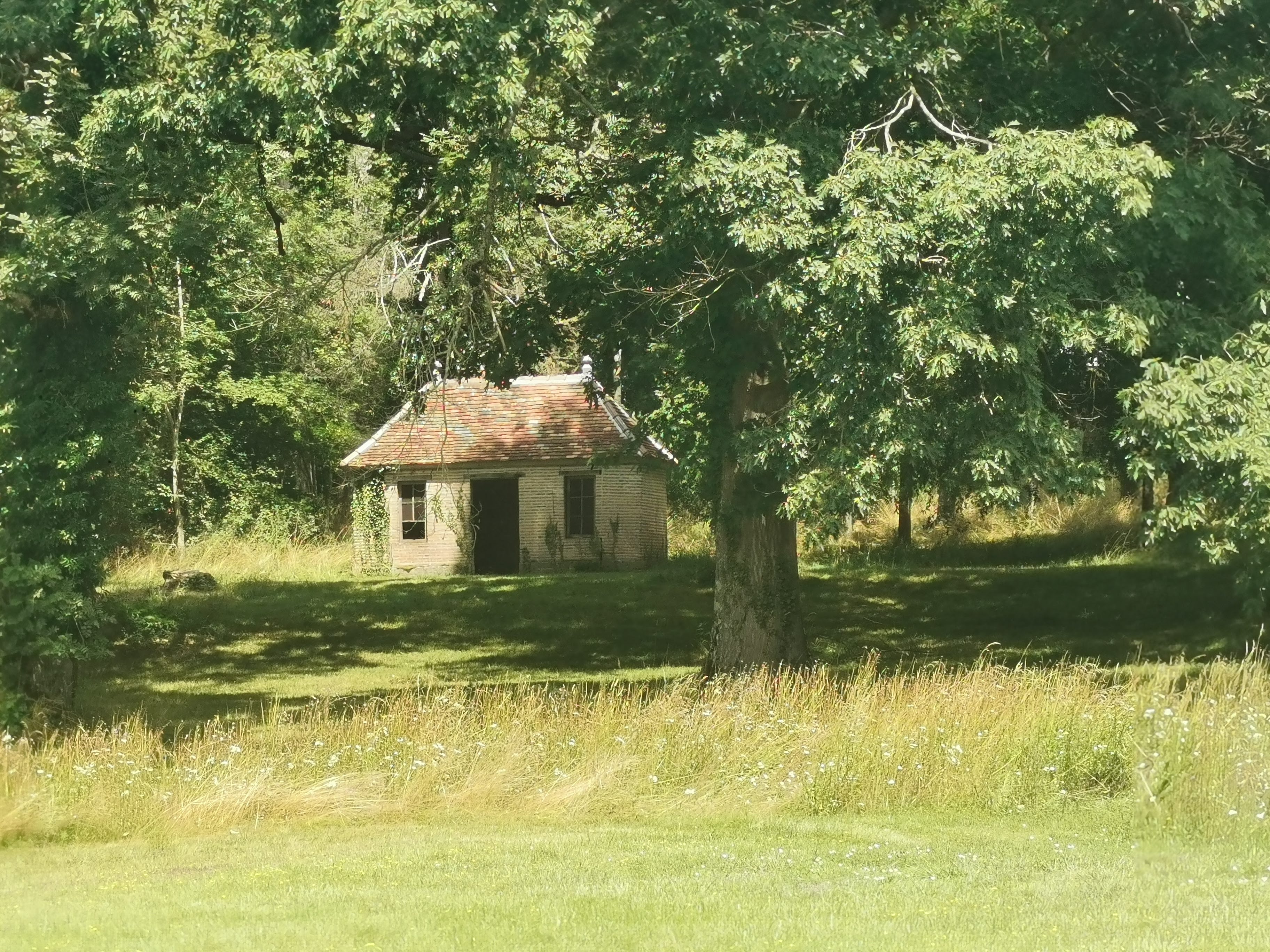 Photo n° 17 de l'avis de Cocoye.e fait le 05/08/2023 à 10:45