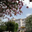 Sevim Tekin Anadolu Lisesi