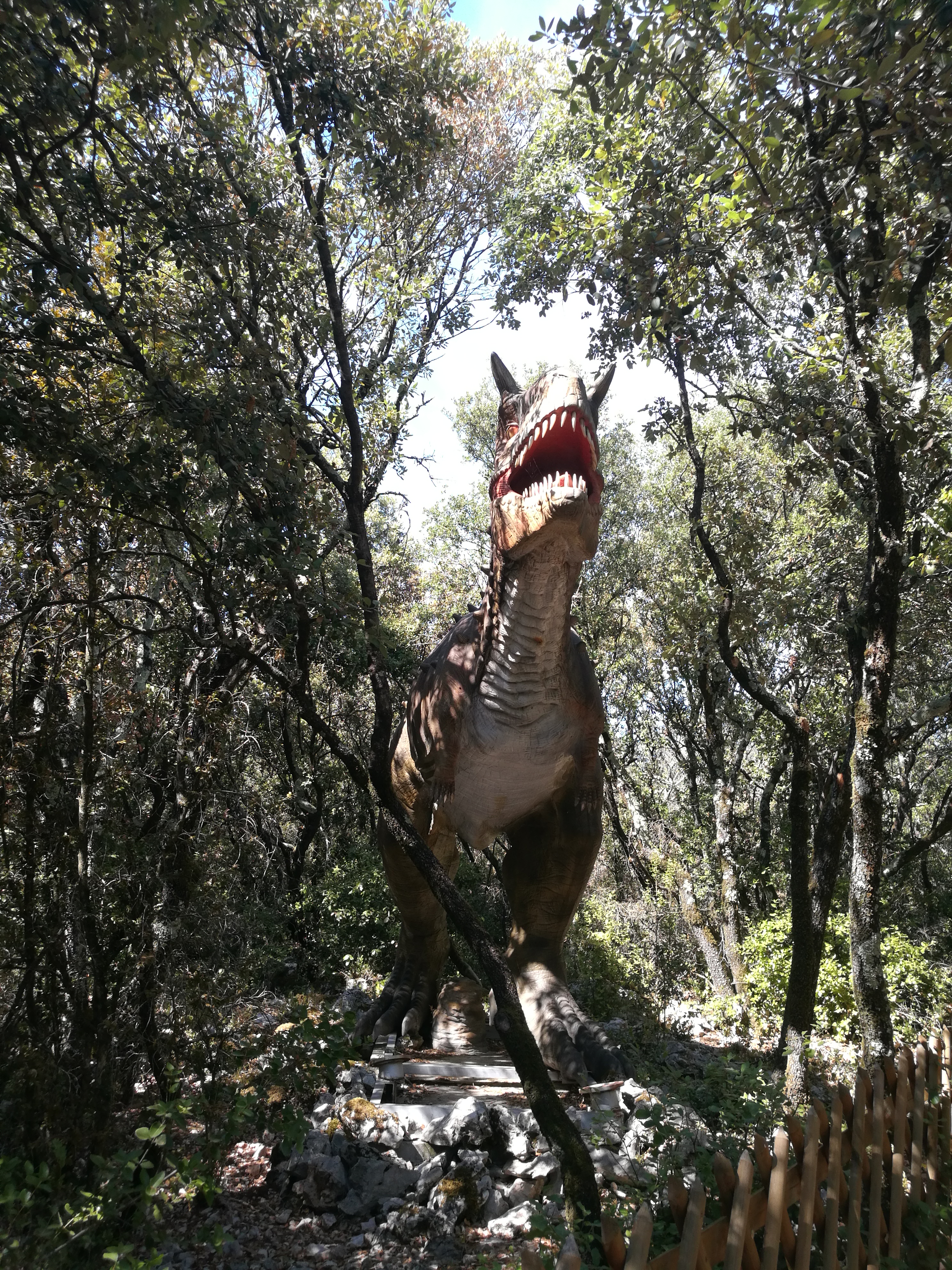 Photo n° 2 de l'avis de MystiJess. fait le 09/08/2022 à 15:57