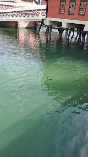 Museum «Boston Tea Party Ships & Museum», reviews and photos, 306 Congress St, Boston, MA 02210, USA