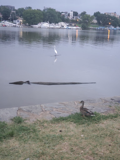 Park «Anacostia Park», reviews and photos, 1900 Anacostia Dr, Washington, DC 20020, USA
