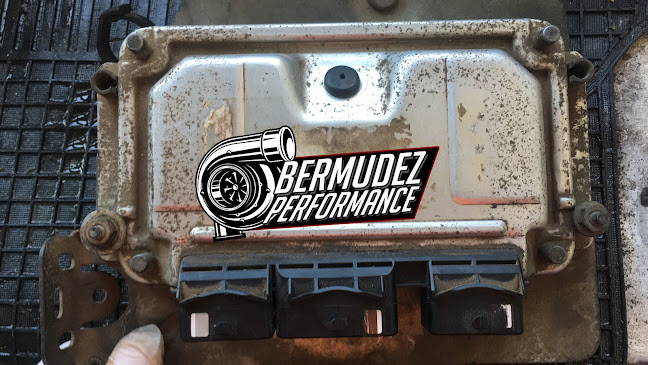 Opiniones de Bermúdez Performance en Valparaíso - Taller de reparación de automóviles
