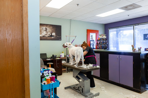 Pet Groomer «Hair Of The Dog», reviews and photos, 10850 W Laraway Rd STE 3E, Frankfort, IL 60423, USA