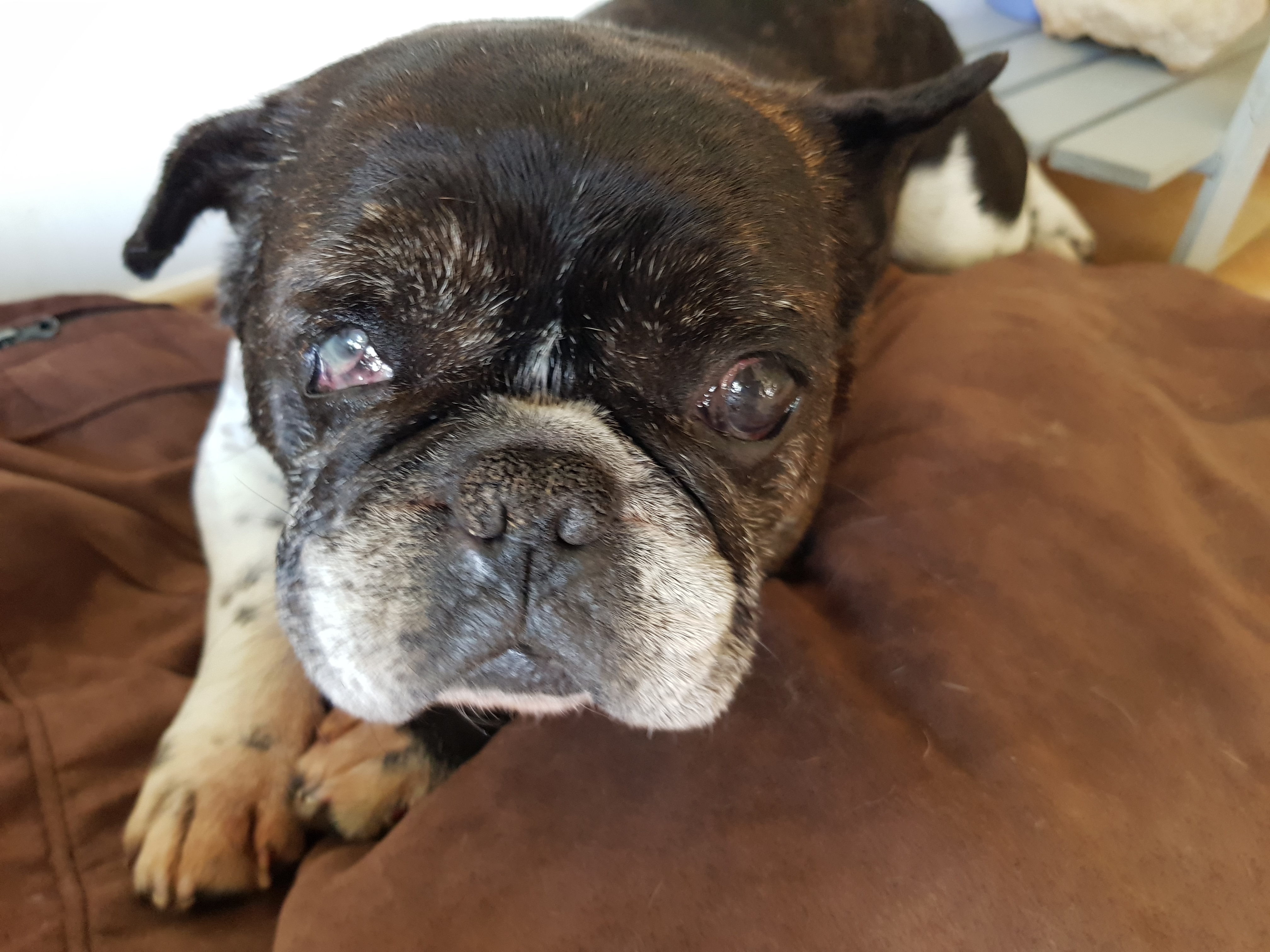 Photo n° 1 de l'avis de Anita.e fait le 12/07/2019 à 09:32