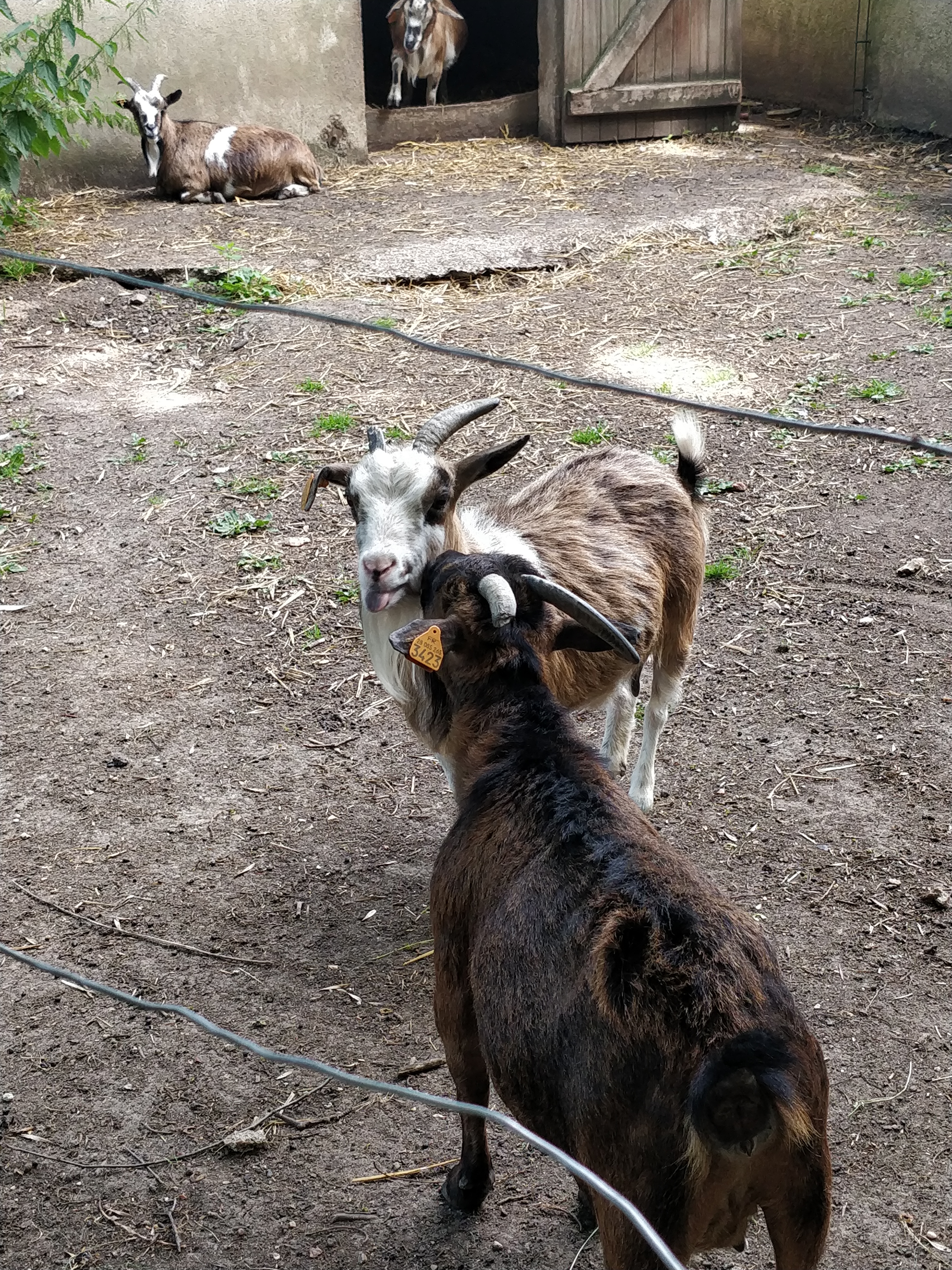 Photo n° 3 de l'avis de Be.a fait le 29/06/2019 à 08:30