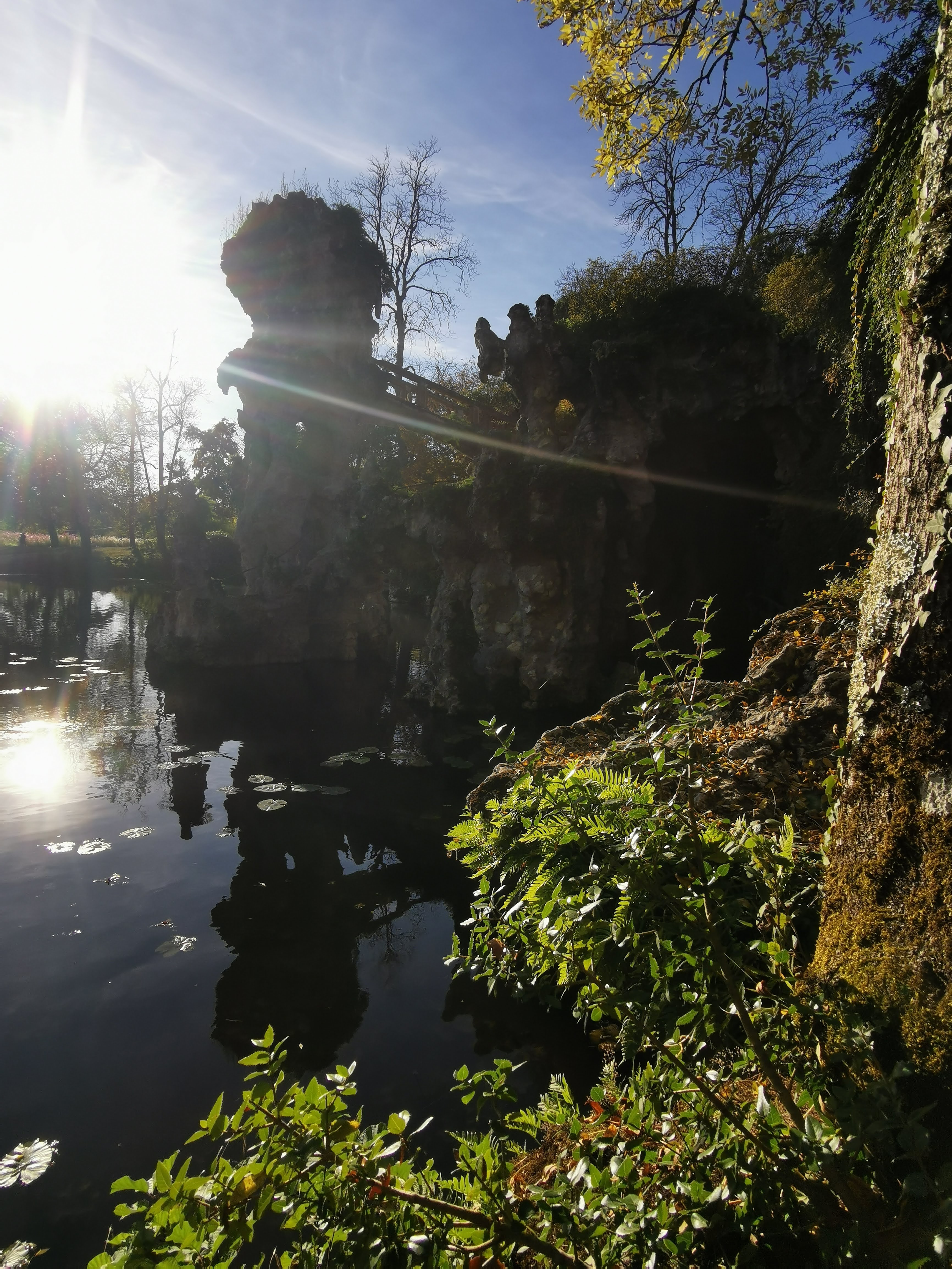 Photo n° 13 de l'avis de Alexandre.l fait le 27/10/2021 à 18:59