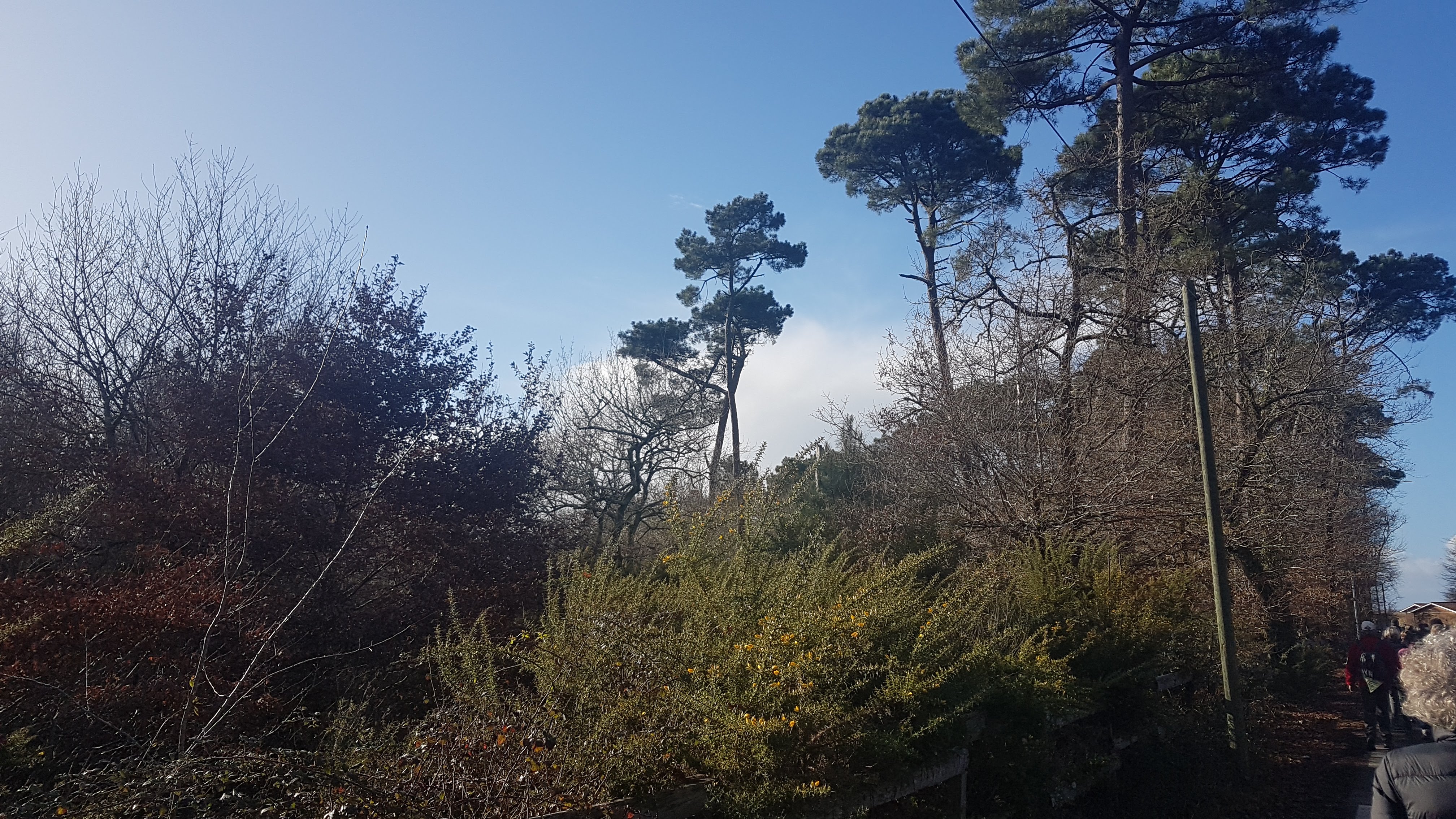 Photo n° 3 de l'avis de Elisabeth.o fait le 17/01/2019 à 18:17