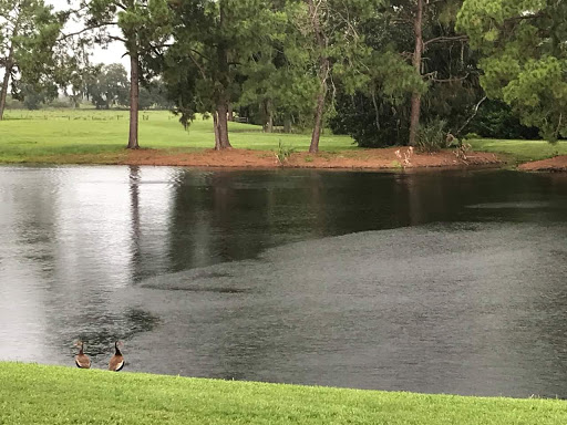 Golf Course «Cypresswood Golf and Country Club», reviews and photos, 1099 Clubhouse Rd, Winter Haven, FL 33884, USA