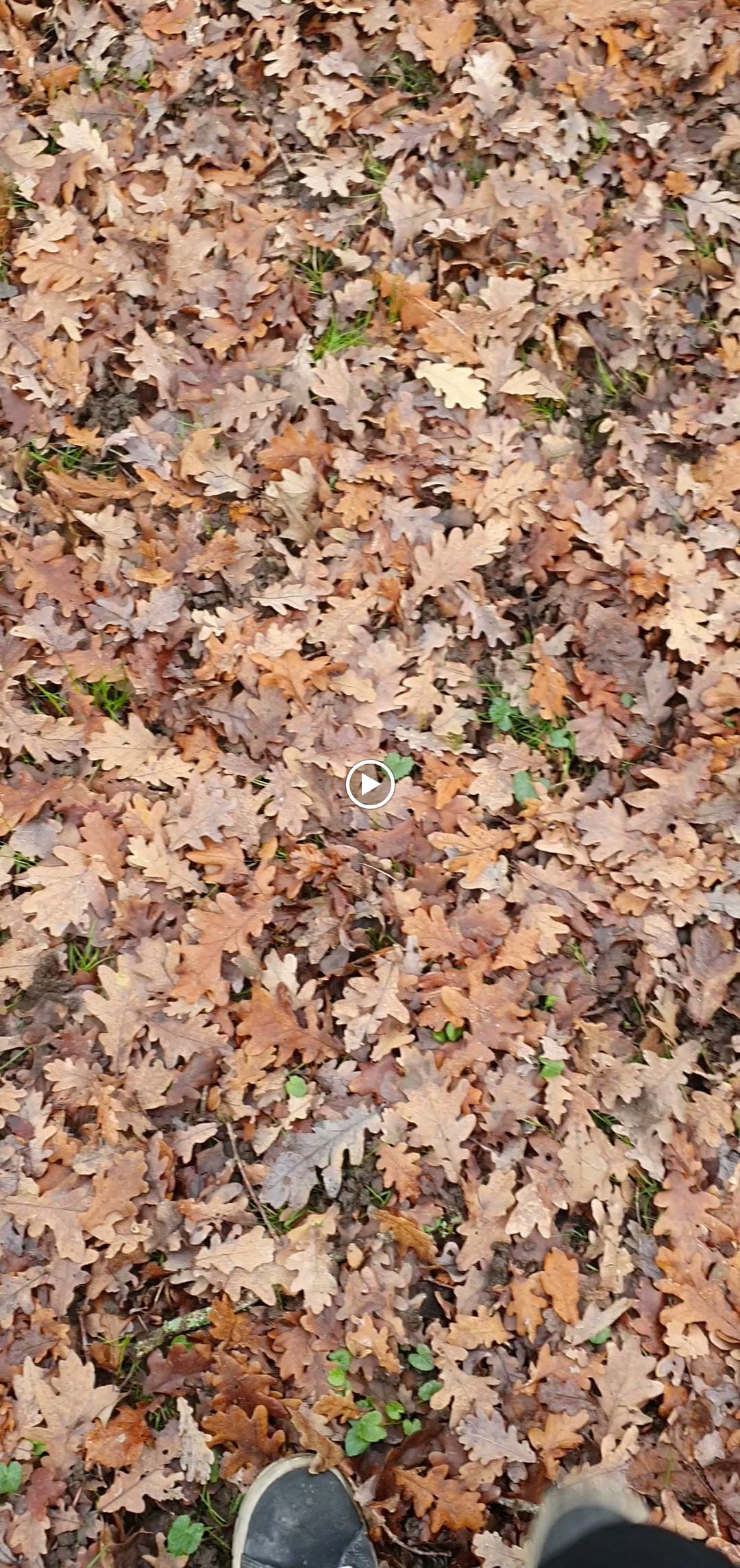 Photo n° 12 de l'avis de KASPAR. fait le 24/12/2023 à 17:00