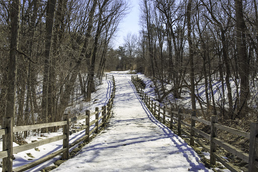 Nature Preserve «McDonald Woods Forest Preserve», reviews and photos, 19611 W Grass Lake Rd, Lake Villa, IL 60046, USA