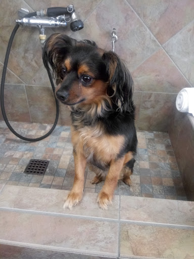 Pet Supply Store «Pet Valu», reviews and photos, 3491 Merchant Boulevard, Abingdon, MD 21009, USA