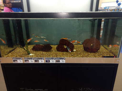 Pet Supply Store «Petco Animal Supplies», reviews and photos, 4665 Garth Rd #400, Baytown, TX 77521, USA