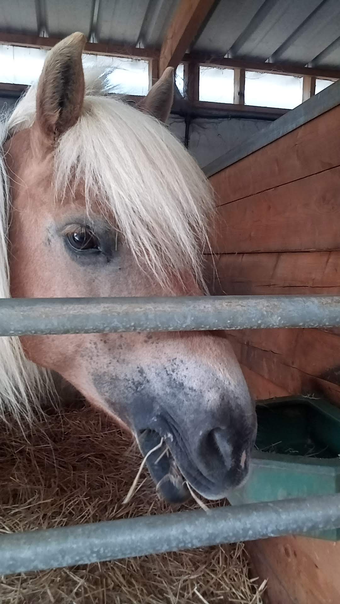 Photo n° 1 de l'avis de Blanpain.h fait le 12/06/2020 à 15:30