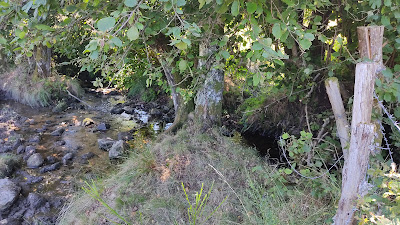 Pont sur le ruisseau des Forbières à Sarran
