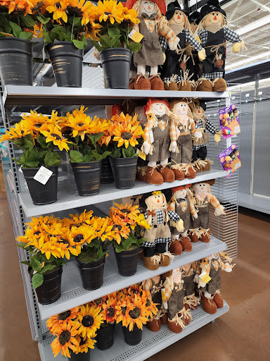 Department Store «Walmart Supercenter», reviews and photos, 11465 Tara Blvd, Lovejoy, GA 30250, USA