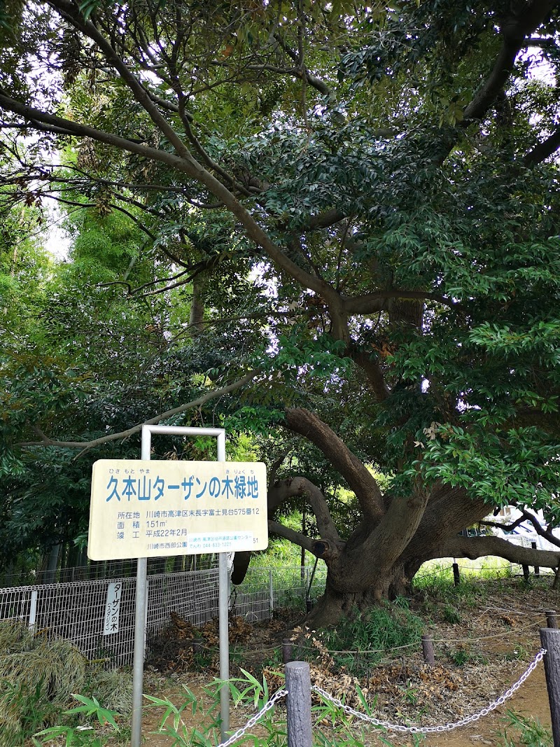 久本山ターザンの木緑地
