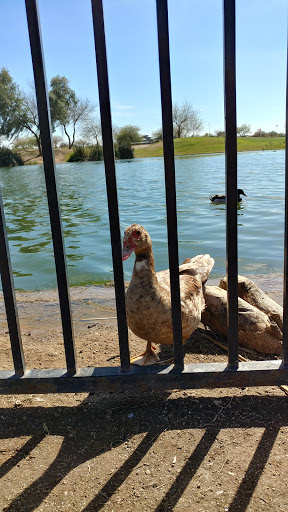 Golf Club «Golf Club at Johnson Ranch», reviews and photos, 30761 W Golf Club Dr, San Tan Valley, AZ 85143, USA