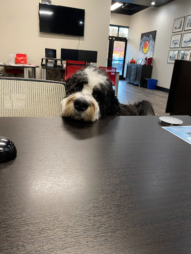 Insurance Agency «Ryan Gelbrich - State Farm Insurance Agent», reviews and photos