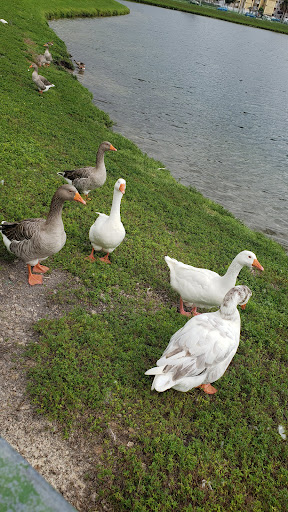 Park «McDonald Park», reviews and photos, 7505 W 12th Ave, Hialeah, FL 33014, USA