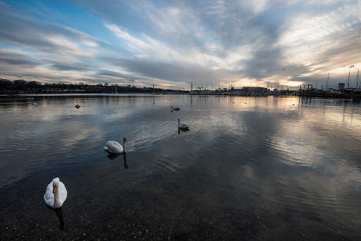 Chessel Bay Nature Reserve