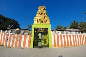 Sri Nadi Narasimha Swami Temple image