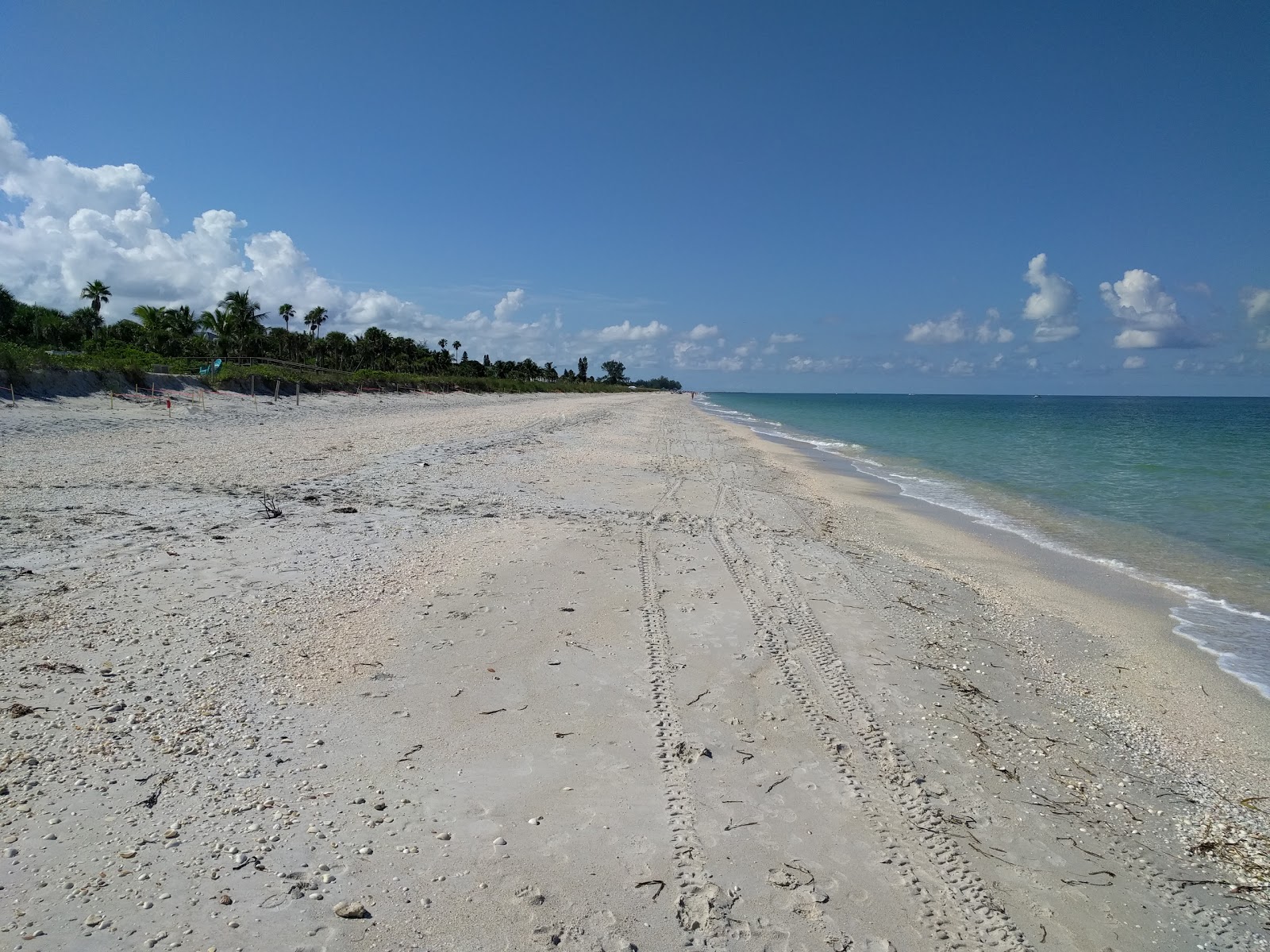 Nokomis beach photo #7