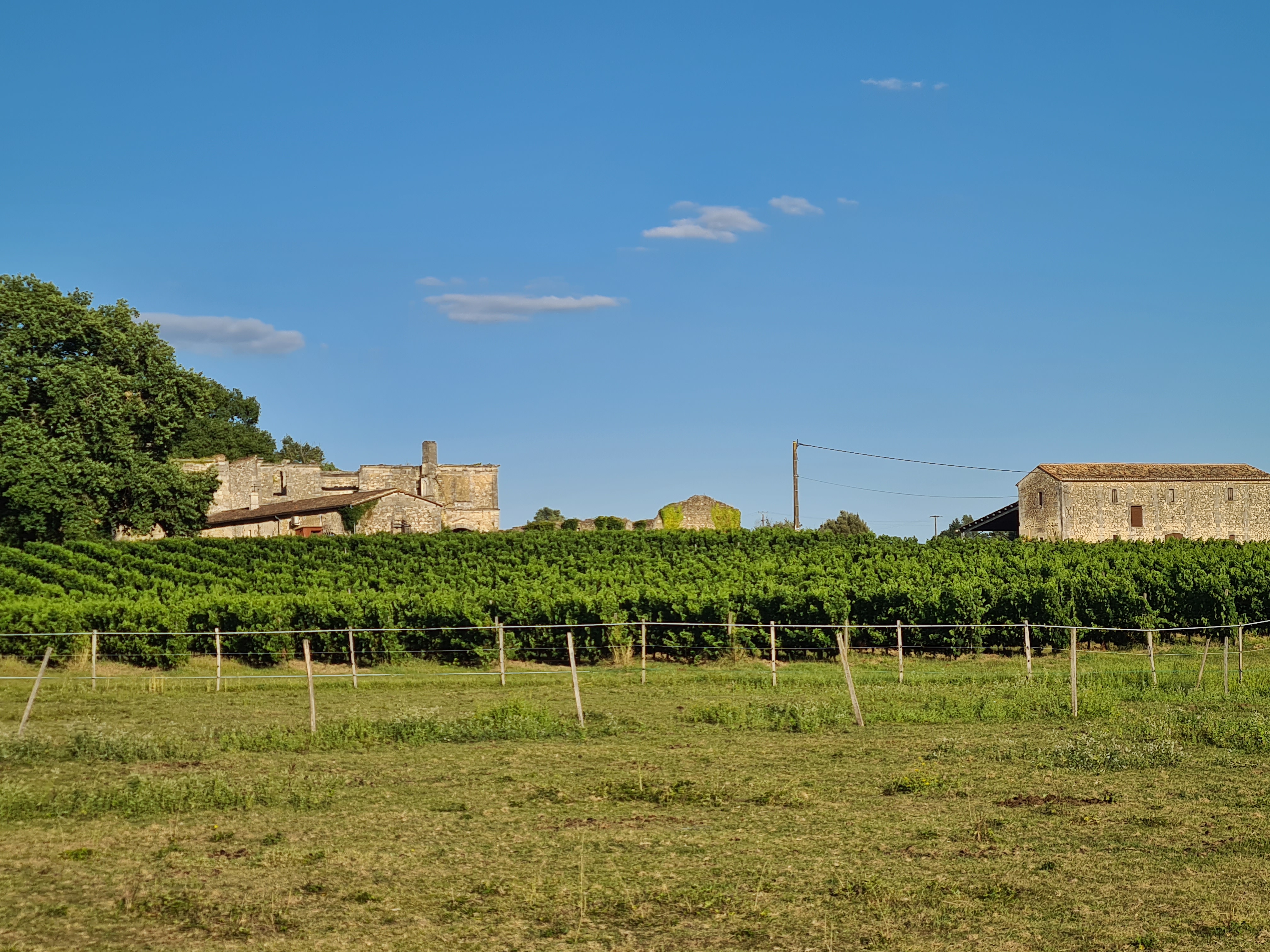Photo n° 8 de l'avis de Jean-Michel.O fait le 14/06/2020 à 16:30
