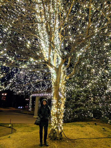 Hiking Area «Seven Falls», reviews and photos, 6 Lake Ave, Colorado Springs, CO 80906, USA