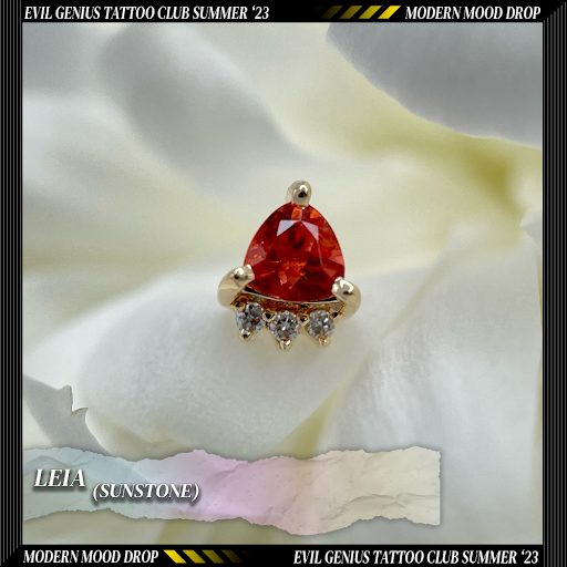 Explore rib cage tattoo ideas for guys, creative tattoo ideas in Lafayette, available at Evil Genius Tattoo Club