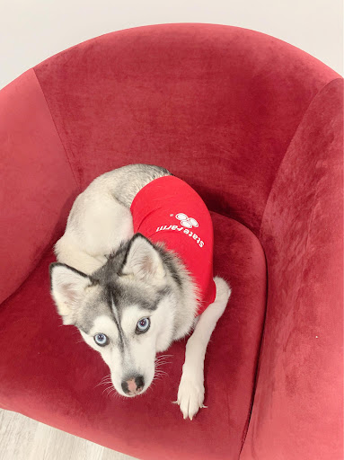 Insurance Agency «Jeff Burtis - State Farm Insurance Agent», reviews and photos