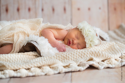 Newborn photographer Hannover