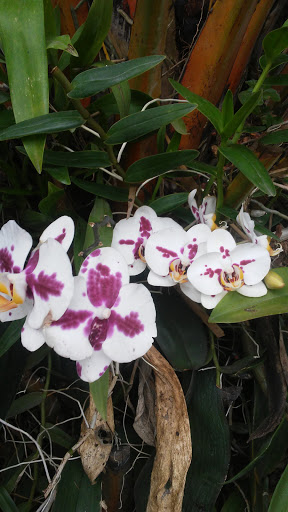 Paintball Center «Battle Town Paintball Field», reviews and photos, 18225 SW 188th St, Miami, FL 33187, USA