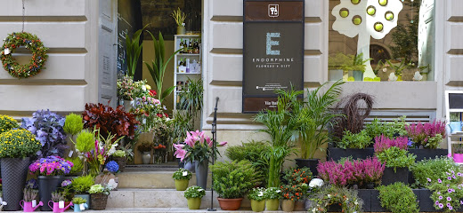 Endorphine Flower Kft. Virágküldés, Virágrendelés Budapest, Send Flower Delivery