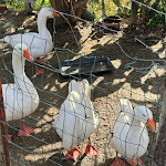 Photo n°4 de l'avis de Olli. fait le 10/03/2024 à 21:53 sur le  Barone Montefeo à Colla Maffone